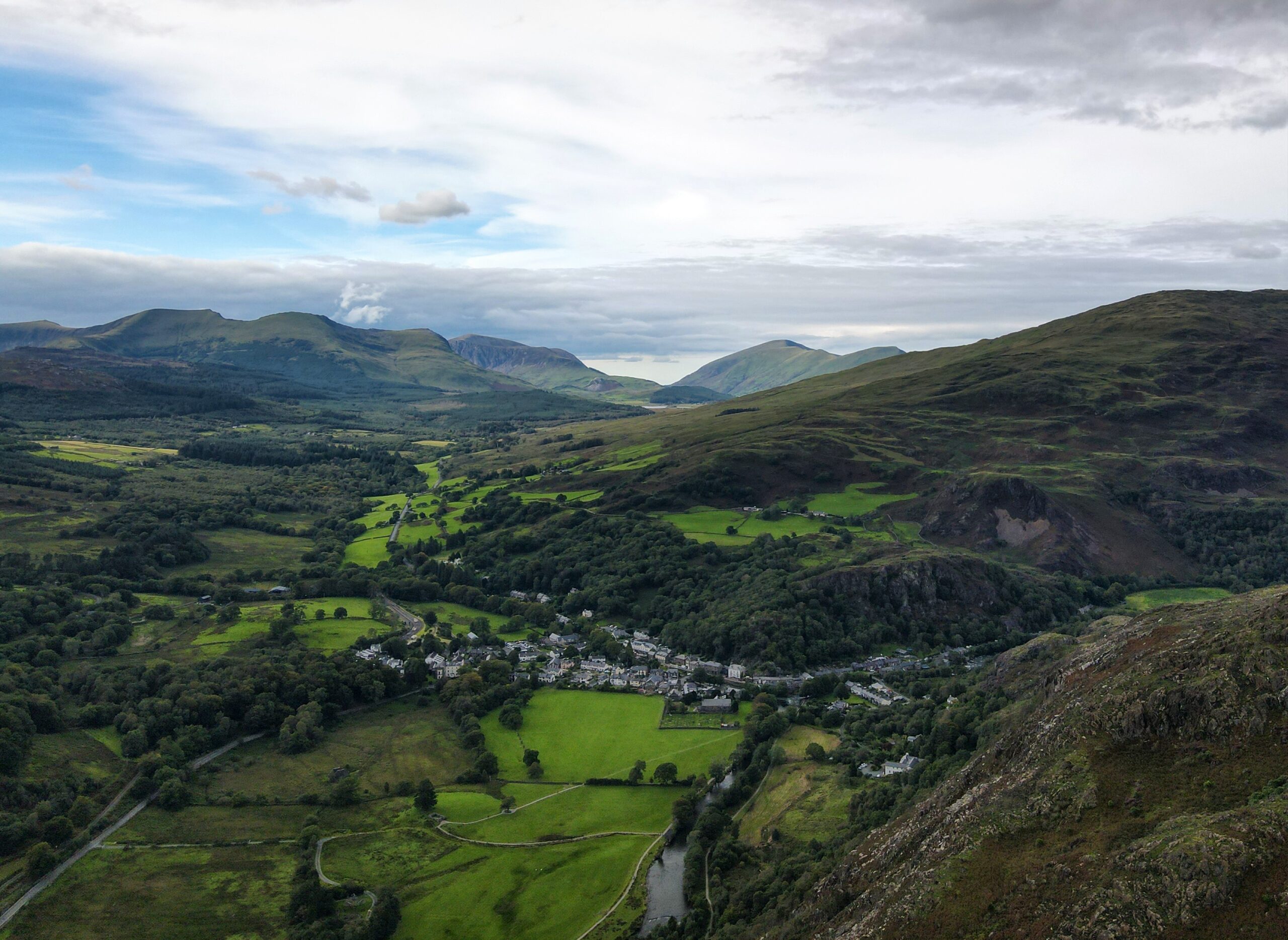 Beddgelert puma