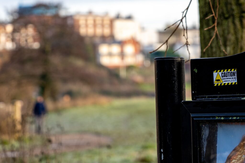 A 'big cat spotted' sticker on Chester Meadows