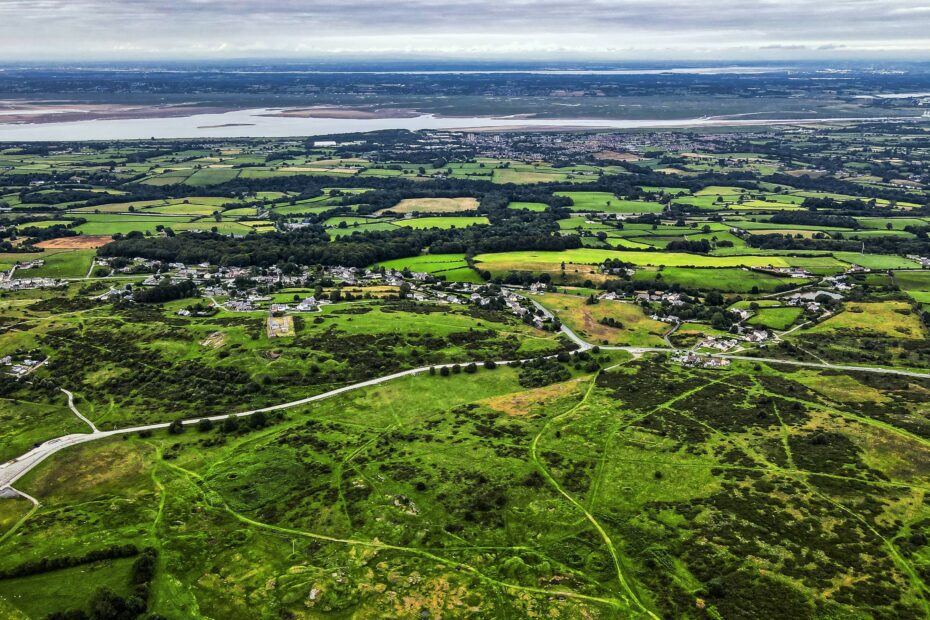 Halkyn: 'Strange beast' shot after 'blonde' puma spotted stalking sheep