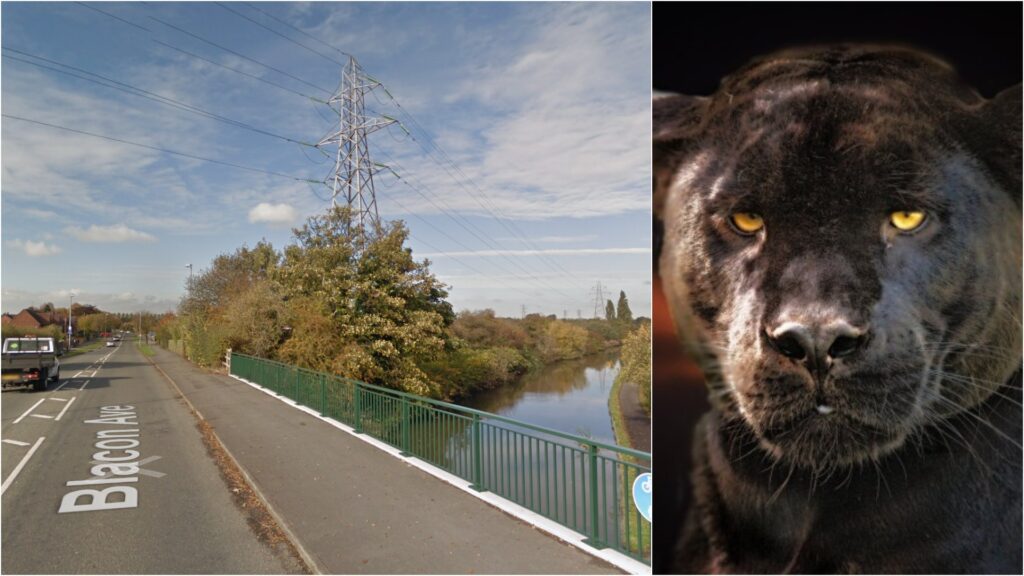 Blacon Police Station Puma