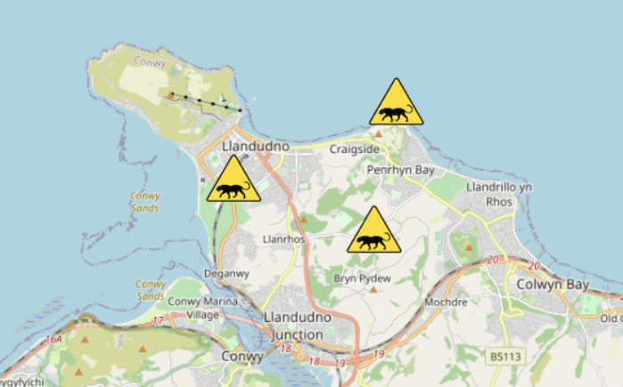 Llandudno puma map