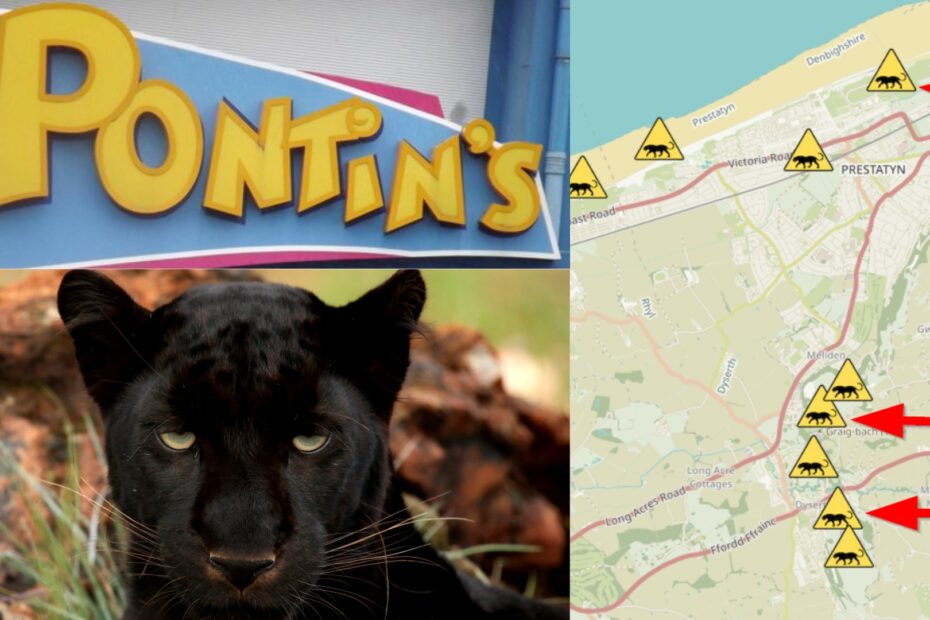 Prestatyn Pontins Panther