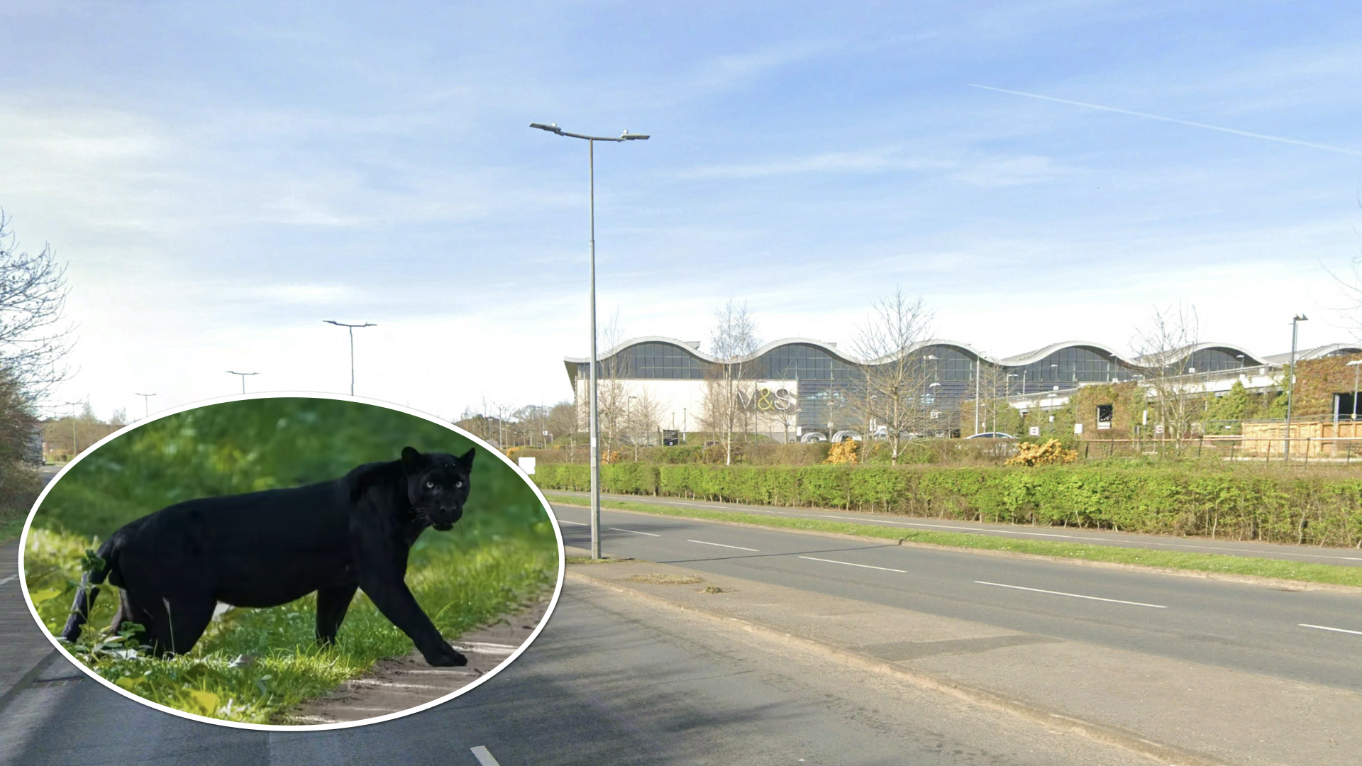 Port Panther