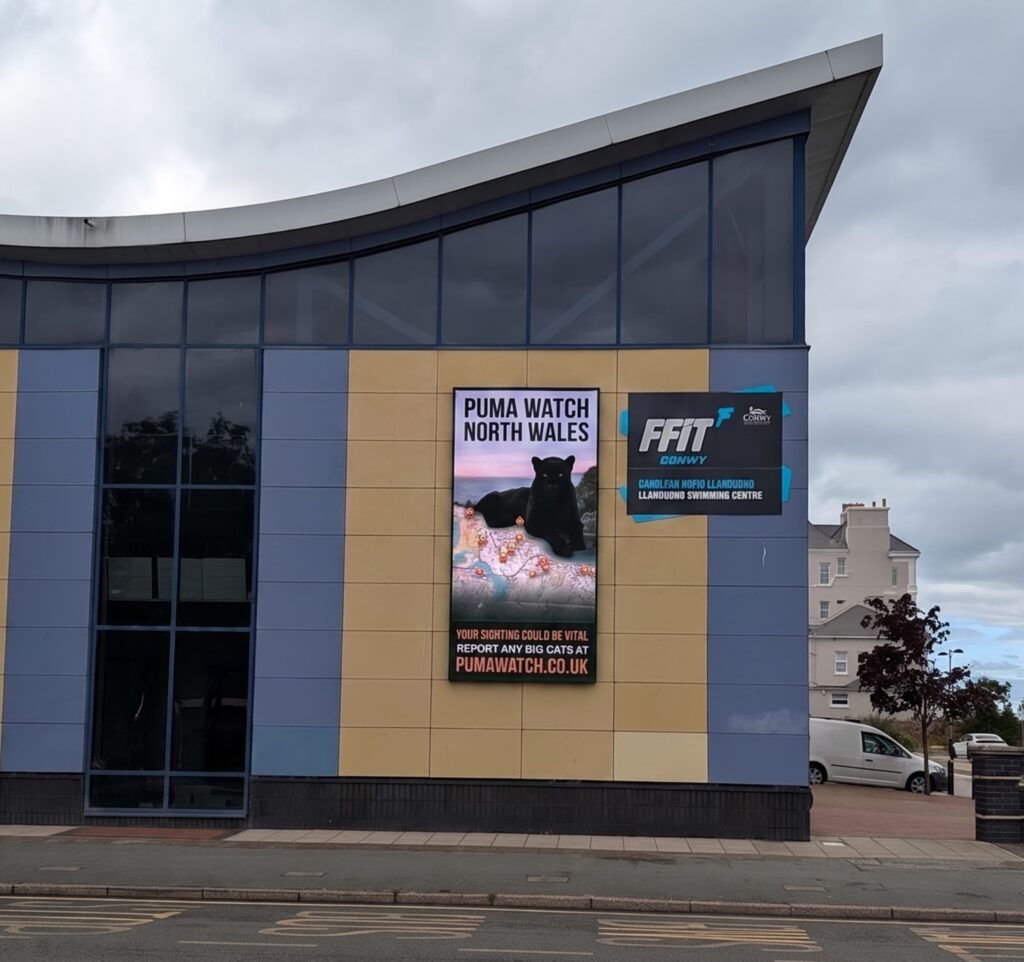 Puma Watch billboard in Llandudno